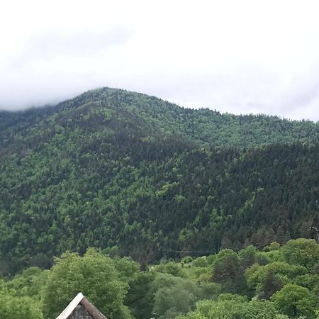 Zviad Guest House Borjomi Εξωτερικό φωτογραφία
