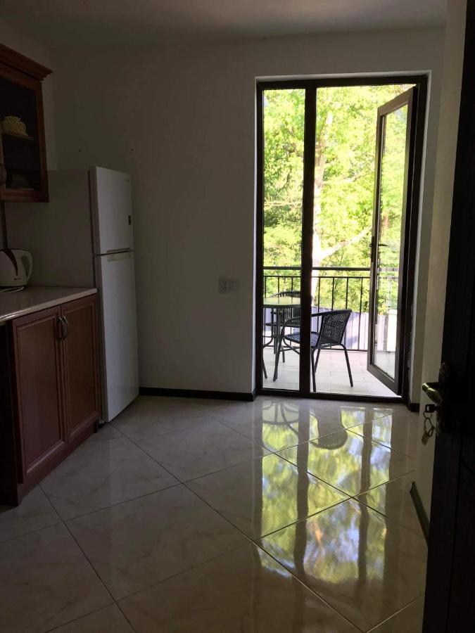 Zviad Guest House Borjomi Εξωτερικό φωτογραφία