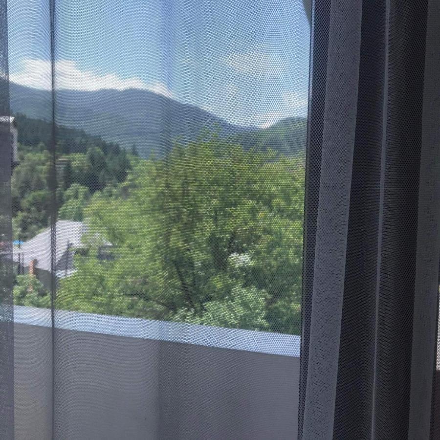 Zviad Guest House Borjomi Εξωτερικό φωτογραφία