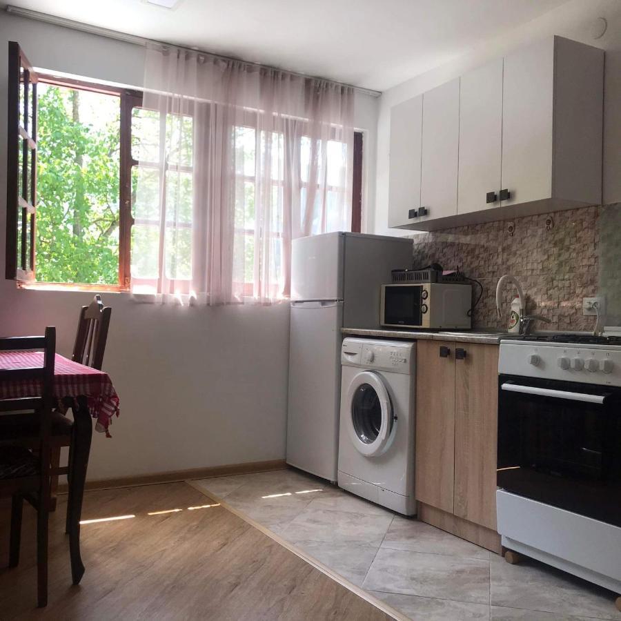 Zviad Guest House Borjomi Εξωτερικό φωτογραφία
