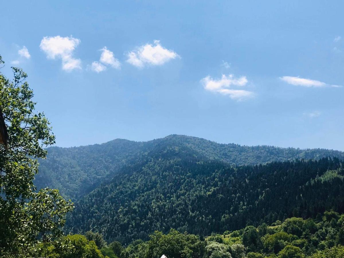 Zviad Guest House Borjomi Εξωτερικό φωτογραφία