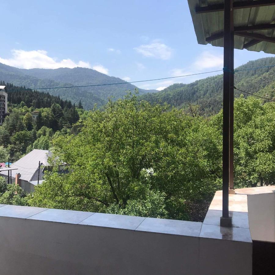 Zviad Guest House Borjomi Εξωτερικό φωτογραφία
