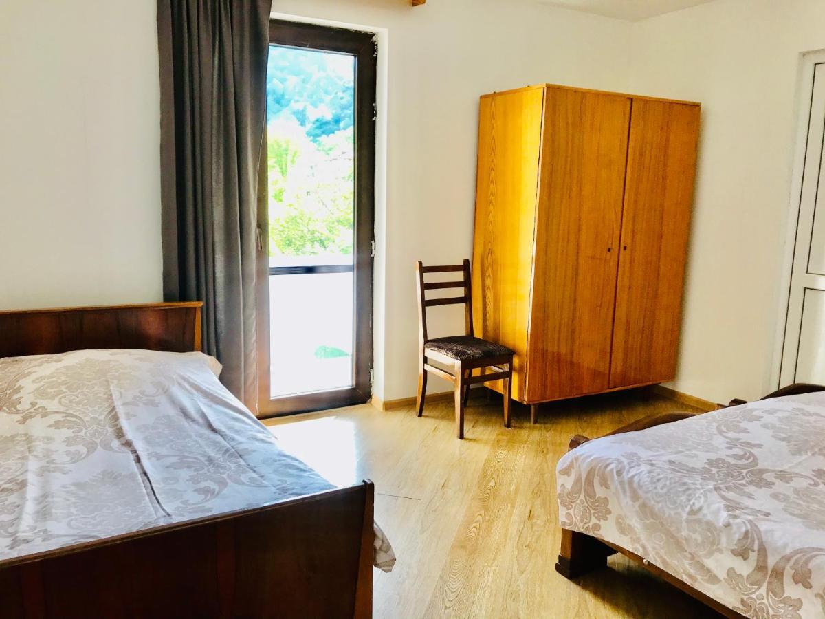 Zviad Guest House Borjomi Εξωτερικό φωτογραφία