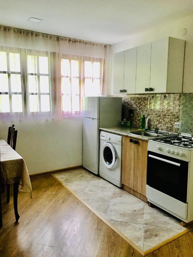 Zviad Guest House Borjomi Εξωτερικό φωτογραφία