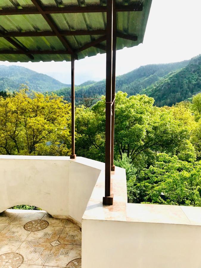 Zviad Guest House Borjomi Εξωτερικό φωτογραφία