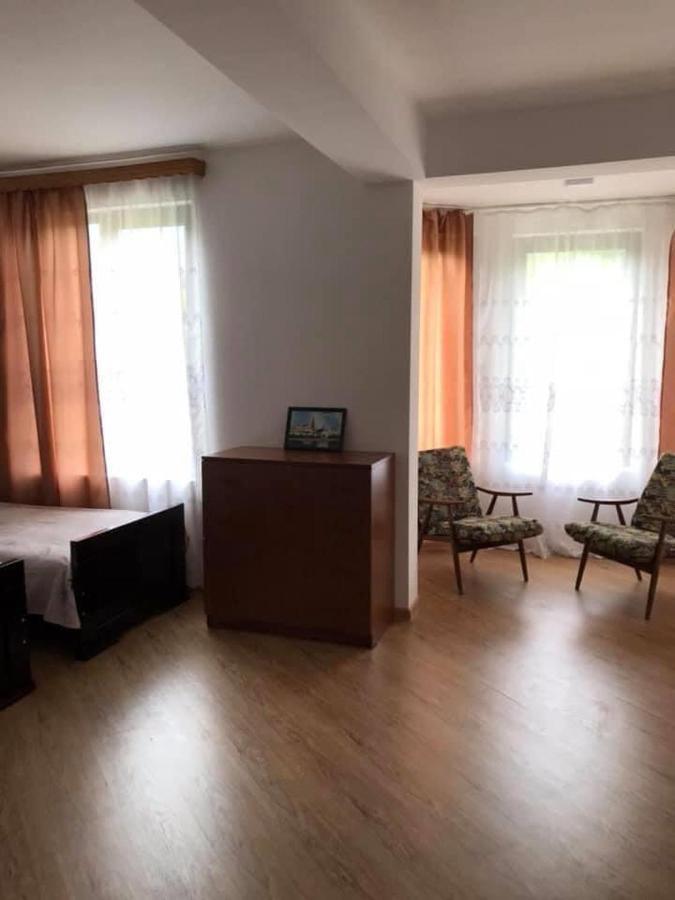 Zviad Guest House Borjomi Εξωτερικό φωτογραφία