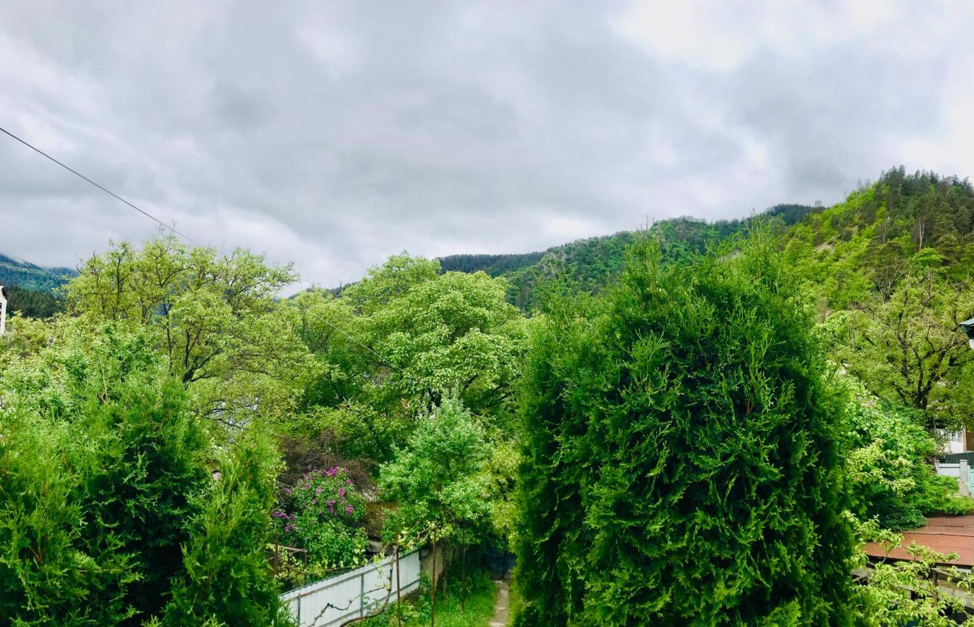 Zviad Guest House Borjomi Εξωτερικό φωτογραφία