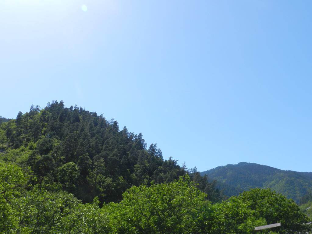 Zviad Guest House Borjomi Εξωτερικό φωτογραφία
