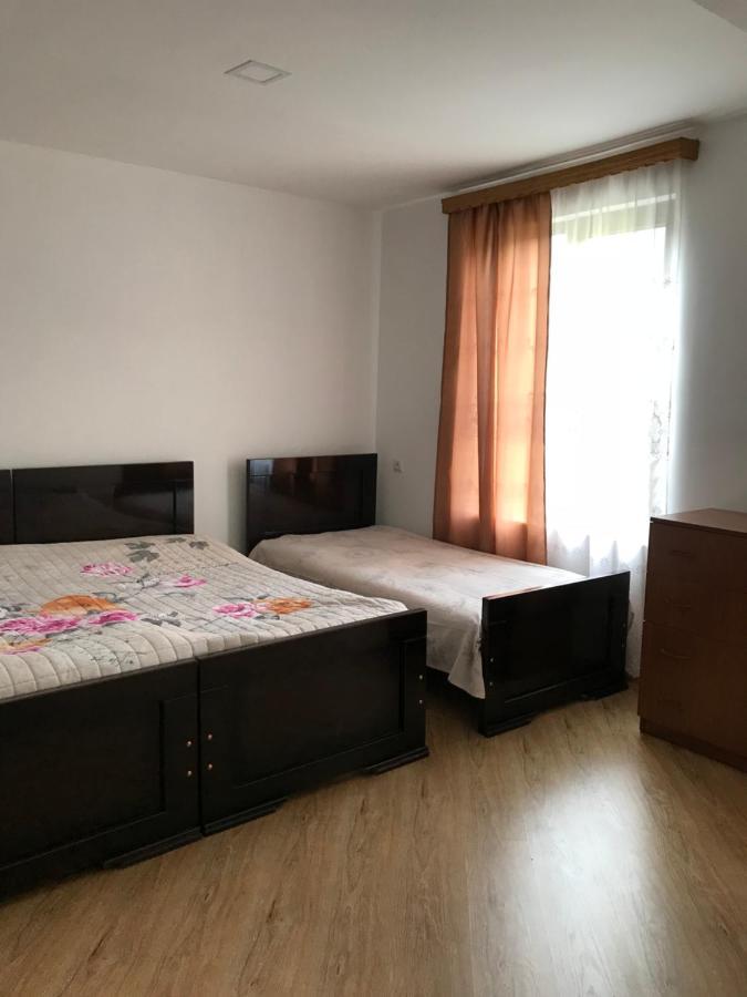 Zviad Guest House Borjomi Εξωτερικό φωτογραφία